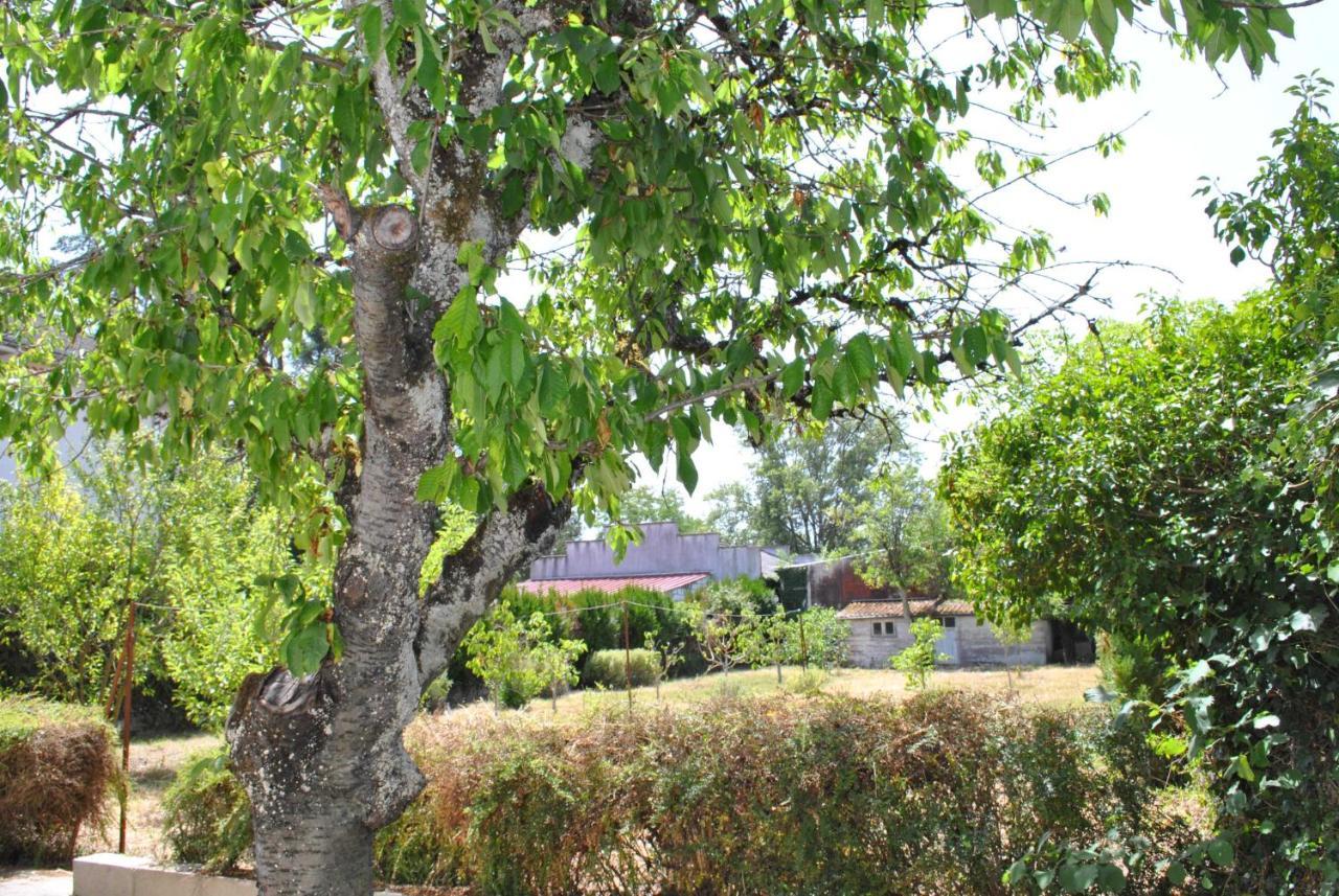 Maison 6 personnes - grand jardin arboré Villa Noyers-sur-Cher Esterno foto